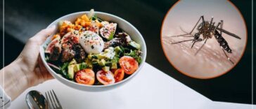 Foods To Eat When Recovering From Dengue Fever