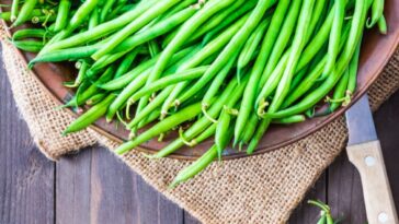 The Health Benefits of Green Beans