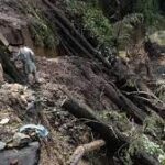 Himachal environmentalists urge rethinking sustainable future policy.