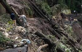 Himachal environmentalists urge rethinking sustainable future policy.