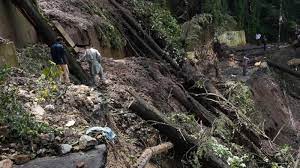 Himachal environmentalists urge rethinking sustainable future policy.