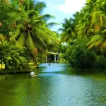 Kerala Itinerary: A Journey Through God's Own Country