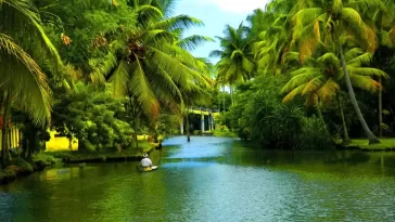 Kerala Itinerary: A Journey Through God's Own Country