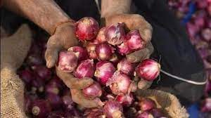 Centre limits onion exports as prices double