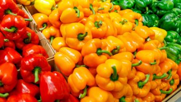 The Health Benefits of Red Bell Peppers