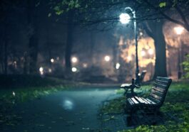 When Taking Risks in Life Doesn’t Pay Off