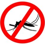 Avoid Dengue by Preventing Mosquito Bites