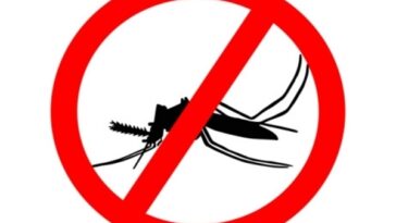 Avoid Dengue by Preventing Mosquito Bites