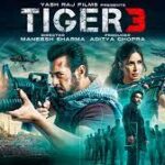 On the thirteenth day of box office receipts, Tiger 3, Salman Khan's film grosses nearly 260 crore in India.
