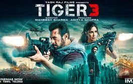 On the thirteenth day of box office receipts, Tiger 3, Salman Khan's film grosses nearly 260 crore in India.