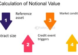 Benefits of Holding Stocks for the Long-Term