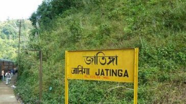 Jatinga, Assam: The Enigma of the Mysterious Bird Suicides